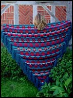 Navajo Diamond Eyes Shawl